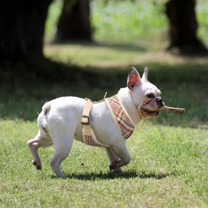 PUPTECK Soft Mesh Dog Harness and Leash Set Pet Puppy Cat Comfort Padded Vest No Pull Harnesses, Khaki, XS - color: Khaki, size: XS (NECK: 10", CHEST: 10"-14")