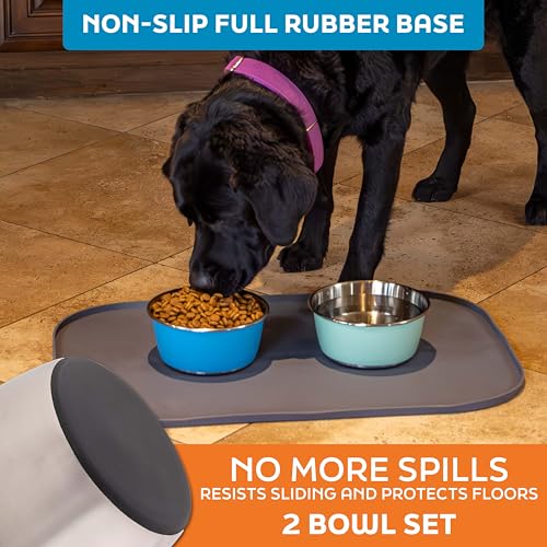 Master Pet Supply Stainless Steel Dog Bowls Set of 2 (32 Oz Each) with Non-Slip Rubber Base - Stainless Steel - Basic Dog Food Bowl Water & Food Bowls for Small Medium Large Dogs & Cats, Metal Dish - color: Stainless Steel, size: 4 Cups (32 oz) 2 Pack