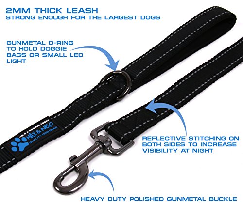 Max and Neo Reflective Nylon Dog Leash - Purple, 4 Feet - color: PURPLE, size: 4 FT x 1" Wide