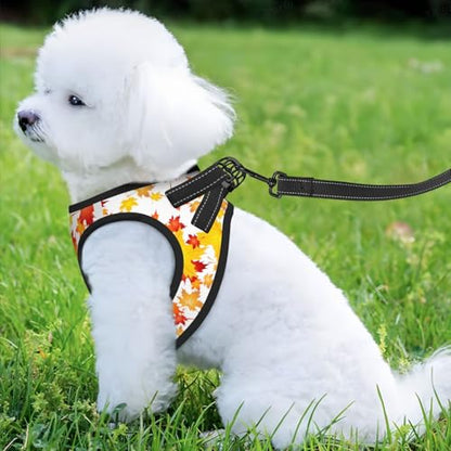 Maple Leaf Pet Harness Escape Proof Dog Harness Adjustable Mesh Padded Reflective Dog Vest Harness and Leash Set Large - color: Style 4, size: Large