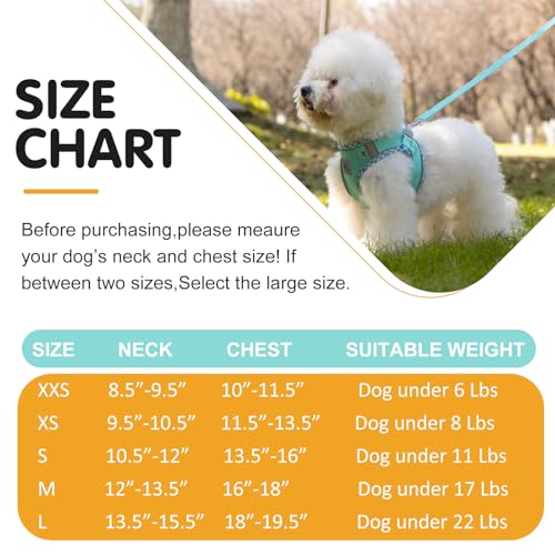 Dog Harness & Leash Set - No Pull Soft Breathable Small Dog Harness, Adjustable Reflective Step-in Vest for Puppy, Kitten, Cats - color: blue-green, size: xxs