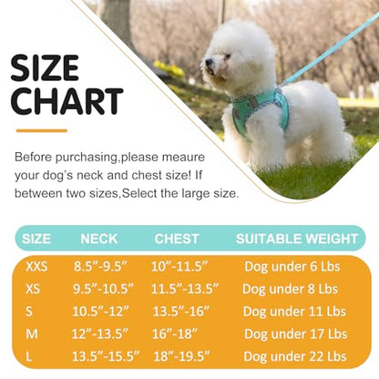 Dog Harness & Leash Set - No Pull Soft Breathable Small Dog Harness, Adjustable Reflective Step-in Vest for Puppy, Kitten, Cats - color: blue-green, size: xxs