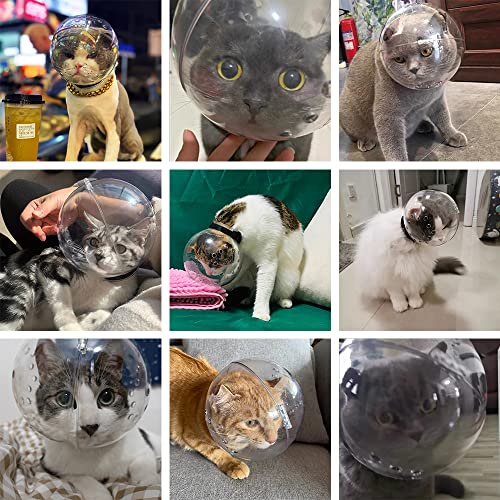 Cat Muzzle Combo - Adjustable Hood, Breathable Anti-Bite Muzzles to Prevent Biting and Chewing, Safety Grooming Accessory for Small Pets.(M for cat Neck 6.8-9.25") - size: M for cat neck 6.8-9.25"