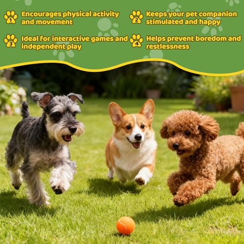 20 Pack Tennis Balls for Dogs, 2 inch Dog Toy Ball with Mesh Bag, Small Tennis Balls Pet Dog Playing Ball for Pet Puppy (5 Color)