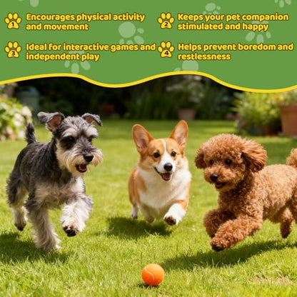 20 Pack Tennis Balls for Dogs, 2 inch Dog Toy Ball with Mesh Bag, Small Tennis Balls Pet Dog Playing Ball for Pet Puppy (5 Color)