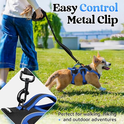 rabbitgoo Escape Proof Dog Harness Large Dogs, Soft Padded Full Body Pet Harness, Reflective Adjustable No Pull Vest with Lift Handle and Leash Clip for Walking Hiking Training, Blue & Black, S - color: Blue & Black, size: Small (Pack of 1)