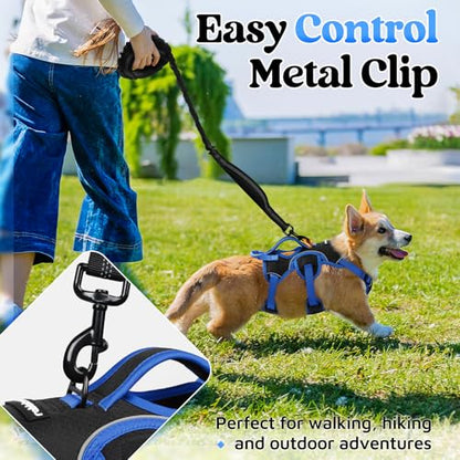 rabbitgoo Escape Proof Dog Harness Large Dogs, Soft Padded Full Body Pet Harness, Reflective Adjustable No Pull Vest with Lift Handle and Leash Clip for Walking Hiking Training, Blue & Black, S - color: Blue & Black, size: Small (Pack of 1)