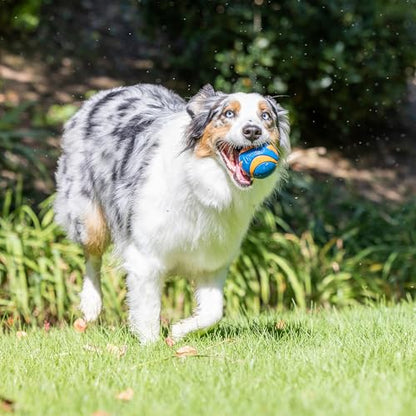 Chuckit! Ultra Ball Dog Toy - Medium Bouncy Fetch Balls for Dogs 20-60 lbs - Made from Durable Rubber - Floating Water Pet Toys - Size Medium - 2.5-inch Diameter - Pack of 4 - size: Medium, style: Squeaker & Ultra 4pk