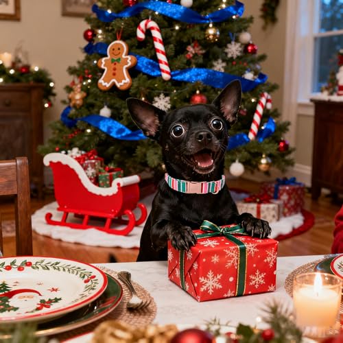 Lionet Paws Chirstmas Dog Collar, Cute Red Green Stripe Dog Collars with Metal Buckle for Puppies and Cats, XS, Neck 8-12 inches - color: New Xmas, size: X-Small (Pack of 1)
