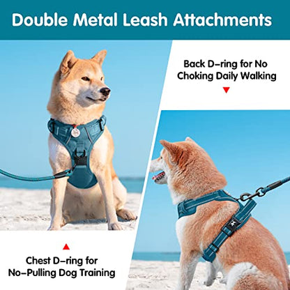 PoyPet No Pull Dog Harness and 5 Feet Leash Set, Release on Neck Reflective Adjustable Pet Vest, Front & Back 2 D-Ring and Soft Padded Pet Harness with Handle for Small to Large Dogs(Tumalo Teal,M) - color: Tumalo Teal, size: Medium
