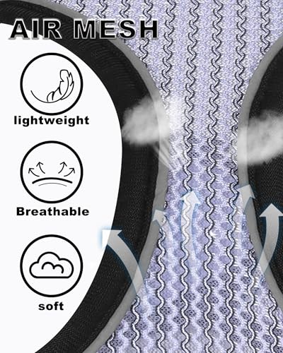 Dog Harness Small Sized and Leash Set, Step in Soft Light Puppy Vest, Breathable Mesh Pet Harness Suitable for Puppies and Kittens. (Purple, XXS(Chest:10.24-11.81")) - color: Purple, size: XXS(Chest:10.24-11.81")