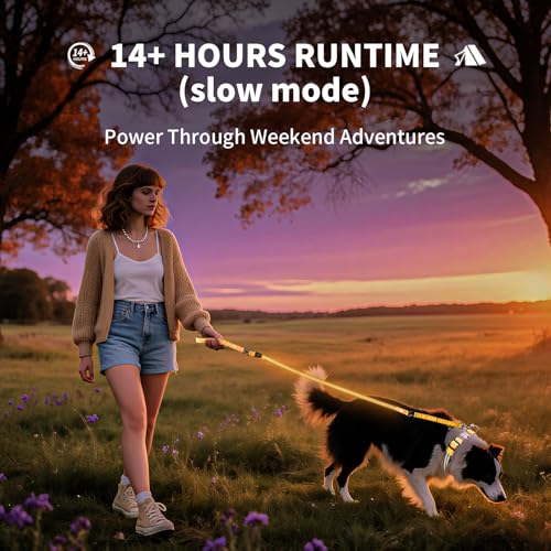 Night Walking LED Dog Leash - 6FT Reflective & Waterproof Light Up Safety Leashes for Dogs - USB Rechargeable, Orange - color: Orange(Fiber optic version)