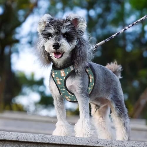 Flowers Otters Pet Harness Escape Proof Dog Harness Adjustable Mesh Padded Reflective Dog Vest Harness and Leash Set Small - color: Style 10, size: Small