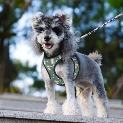 Flowers Otters Pet Harness Escape Proof Dog Harness Adjustable Mesh Padded Reflective Dog Vest Harness and Leash Set Large - color: Style 10, size: Large