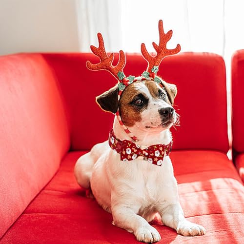 Elegant little tail Christmas Dog Collar, Winter Santa Claus Pet Collars Bow Red Metal Buckle Collar Puppy Girl Boy Holiday Cotton Soft Bowtie Adjustable Dog Collar for X-Small Dogs - color: Heart with Santa Claus, size: X-Small (Pack of 1)