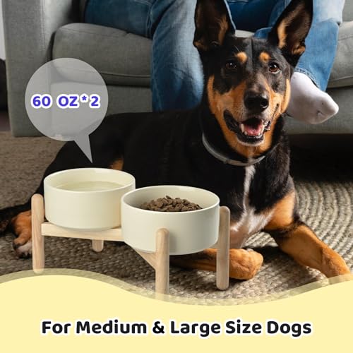 SPUNKYJUNKY Ceramics Elevated Dog Bowls with Wooden Stand - Raised Double 60OZ Cream White Bowls for Medium Large Dogs - color: Cream White (Double Bowls Set), size: Large - 7.6 CUPS