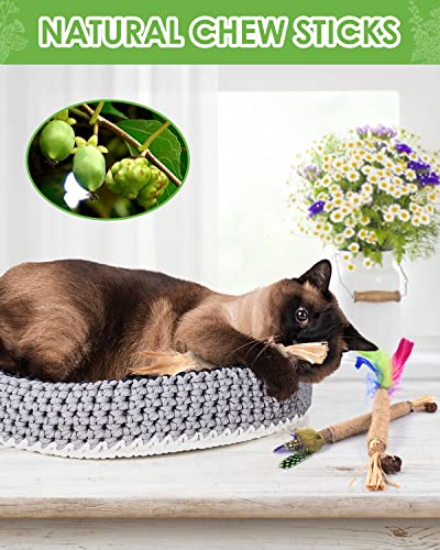 TINDTOP Silvervine Chew Sticks for Cats, Natural Catnip Chew Toys for Kittens Teeth Cleaning, Matatabi Dental Care, Increase Appetite, Calm Cat Anxiety and Stress, Cat Dental Toy (3 Pack) - color: 3 Pack