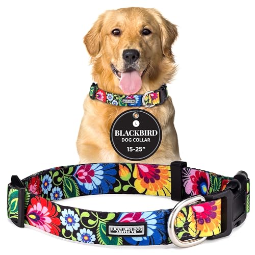 Lucky Love Dog - Adjustable Dog Collar with Easy Click Buckle for Large Ones, Durable, & Comfortable for Male & Female Dogs, Pet Collar for Puppies & Adult Dogs - Blackbird, Large - color: Blackbird Collar Only, size: Large | 15-25"