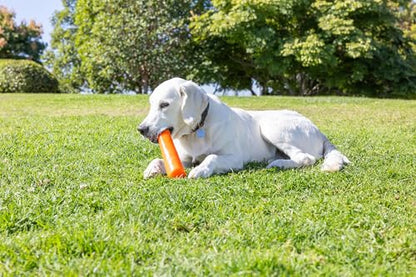 Chuckit! Super Crunch Fetch Stick Dog Toy - Durable TPR Material, Enticing Crunch Sounds, Compatible with Medium and Large Dogs, Mentally and Physically Engaging - 9.2 inches, for Breeds 20-100 lbs - style: Super Crunch Stick