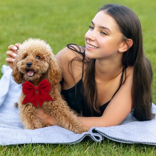 Reginary 100 Pieces Dog Bow Tie Collar Set Include 40 Dog Neckties, and 30 Puppy Bowties, 30 Collar Flowers, Adjustable Pet Ties Grooming for Small Medium Cats Pets Supply(Solid Color) - style: Solid Color