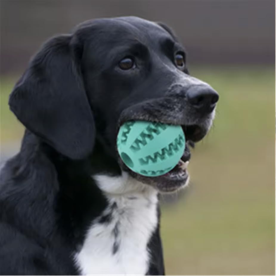 Emerald Paws Magic Rolling Dog Ball (Pack of 2) – Fun Interactive Treat Dispenser and Slow Feeder Toy for Active Dogs