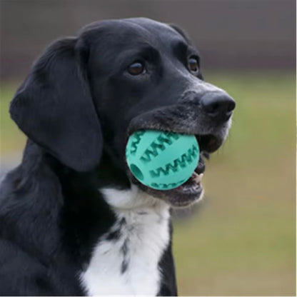 Emerald Paws Magic Rolling Dog Ball (Pack of 2) – Fun Interactive Treat Dispenser and Slow Feeder Toy for Active Dogs