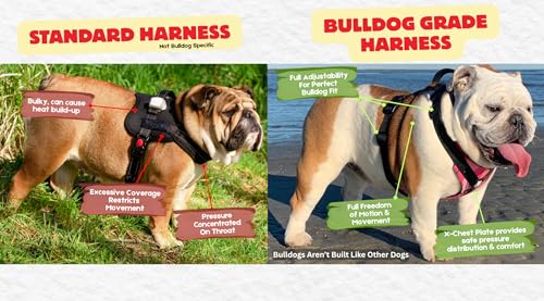 No-Pull Harness for English & French Bulldogs - Adjustable Wide-Chest Fit, Reflective Vest with Control Handle (Frisky Flowers, Large) - color: Frisky Flowers, size: Large