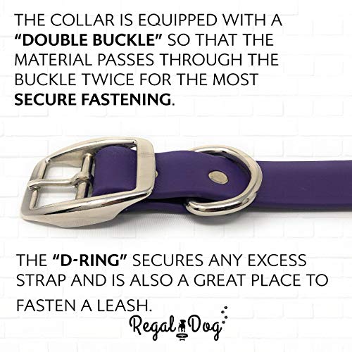 Regal Dog Products Medium Purple Waterproof Dog Collars with Custom Engraved Name Plate | Vinyl Coated, Anti, Easy to Clean Personalized Dog Collar - Other Sizes for Small & Large Dogs - color: Purple, size: Medium Collar