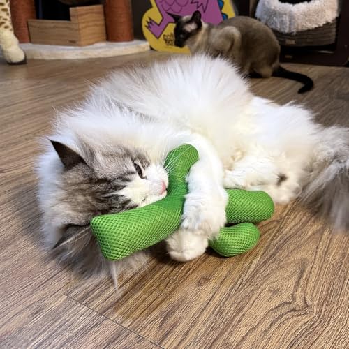 TTcat Catnip Silvervine Matatabi Pillow for Cats & Kittens,Large Cat Cactus Toy Cat Kicker Toy Chew Toy for Indoor Cats. - color: Cactus