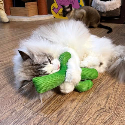 TTcat Catnip Silvervine Matatabi Pillow for Cats & Kittens,Large Cat Cactus Toy Cat Kicker Toy Chew Toy for Indoor Cats. - color: Cactus