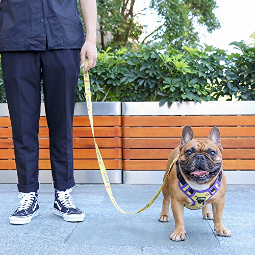 iChoue French Bulldog Vest Harness Adjustable No Pull Soft Padded with Locked Buckle for Frenchie Pug English Boston Terrier Dogs, Yellow, Small - color: A Vest Harness Yellow, size: Small ( 5 - 25 lbs )