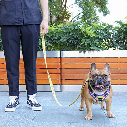 iChoue French Bulldog Vest Harness Adjustable No Pull Soft Padded with Locked Buckle for Frenchie Pug English Boston Terrier Dogs, Yellow, Small - color: A Vest Harness Yellow, size: Small ( 5 - 25 lbs )