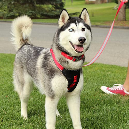 Pawtitas Reflective Padded Dog Harness for X-Small Dogs – Adjustable Puppy Step-in Vest | Fits Chest 14–18 in | No Pull Training Harness | XS | Purple - color: Purple, size: X-Small (Pack of 1)