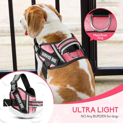 Service Dog Vest Harness and Leash Set, Animire in Training Dog Harness with 10 Dog Patches, Reflective Dog Leash with Soft Padded Handle for Small, Medium, Large, and Extra-Large Dogs - color: Rosy, size: XXS