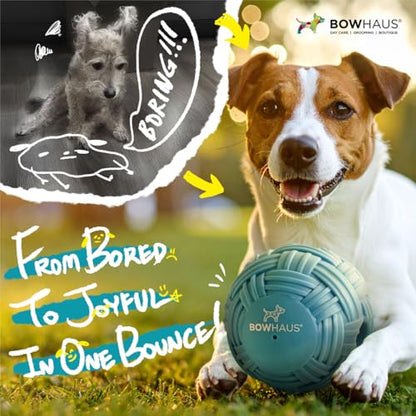 BOWHAUS Knitted Style Giggle Ball for Dogs, 5.5 Inch Interactive Dog Exercise Toys, Indestructible Fun Squeaky Chew Toy, Non-Toxic Durable PVC Chew Ball for Indoor Outdoor Play - style: Giggle Ball - Knitted Style