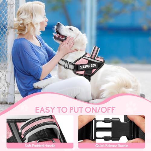 Service Dog Vest Harness and Leash Set, Animire in Training Dog Harness with 10 Dog Patches, Reflective Dog Leash with Soft Padded Handle for Small, Medium, Large, and Extra-Large Dogs - color: Pink, size: XXS
