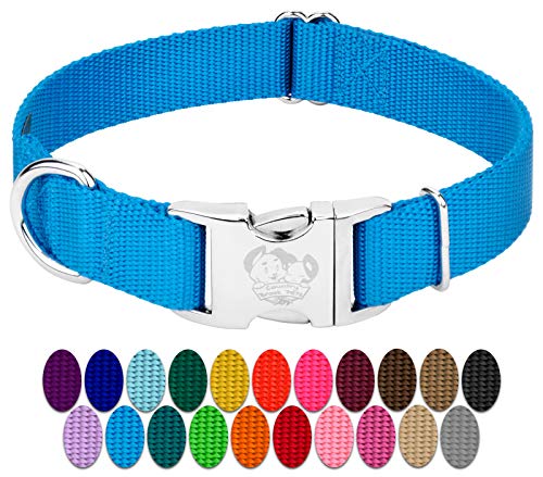Country Brook Petz - Premium Nylon Dog Collar with Metal Buckle for Small Medium Large Breeds - 10+ Cool Colors (Small, 3/4 Inch, Ice Blue) - color: Ice Blue, size: Small (Pack of 1)