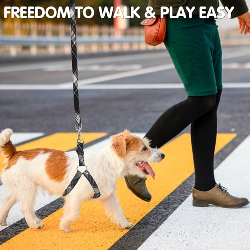BINGPET Dog Harness Collar Leash Set,Adjustable No Pull Escape Proof Small Dog Harness,Classic Plaid Puppy Harness and Leash Set for Small Medium Large Dogs Training Easy Walk Running - color: Grey Plaid, size: S(Chest Girth:14.9''-20.9'')