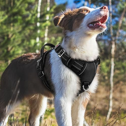 rabbitgoo Dog Harness Medium Sized, No Pull Dog Vest with 3 Buckles, Adjustable Soft Padded Pet Harness with Easy Control Handle and Reflective Strips, Black, M - color: Black, size: Medium