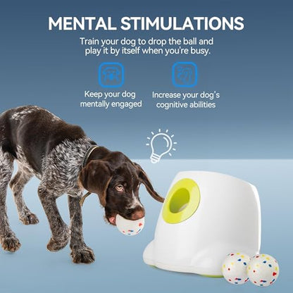 ALL FOR PAWS Automatic Ball Launcher for Dogs, Interactive Puppy Pet Balls Outdoor Thrower for Medium to Large Dogs, Ball Throwing Machine for Dogs, 6 ETPU Balls Included(2.5"), Rechargeable Battery - size: 2.5"ball launcher