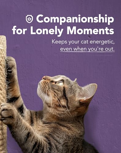 Lukamoo® Cat Scratching Pad, Wall Mounted Scratcher for Indoor Cats (Medium (24'' x 16'')) (Black Cat) - color: Black Cat