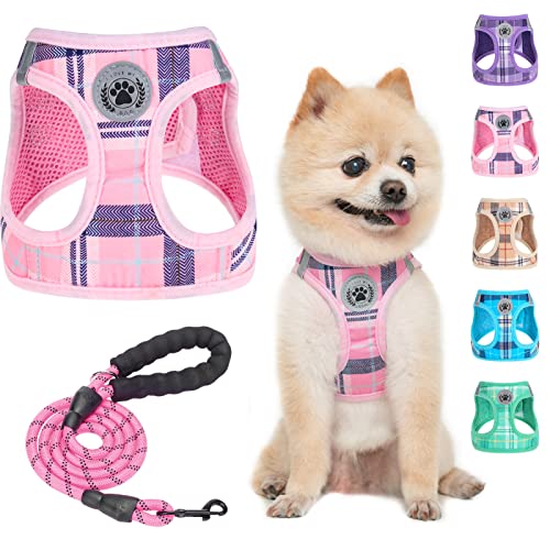 BEAUTYZOO Small Dog Harness and Leash Set,Step in No Choke No Pull Soft Mesh Dog Harnesses Reflective for Extra-Small/Small Medium Puppy Dogs and Cats, Plaid Dog Vest Harness for XS S Pets, Pink XXS - color: Pink, size: XX-Small(Chest Girth 11.5"-13")