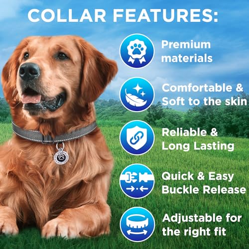 TECEUM Reflective Dog Collar – Gray – XXS – Extra Soft Padding – Basic Nylon Pet Collar – Quick Release Buckle – Fits Small, Medium and Large Dogs, Puppies, Cats – ESA & Service Dog Options - color: Gray, size: XX-Small