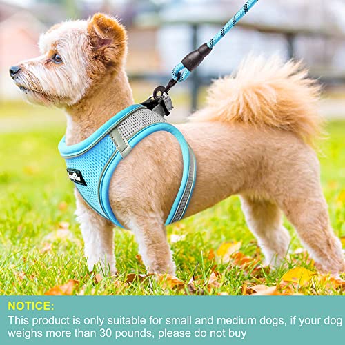 haapaw Dog Harness with Leash Set, No Pull Adjustable Reflective Step-in Puppy Harness with Thickened Padded Vest for Extra-Small/Small Medium Dogs - color: Grey / Blue, size: M