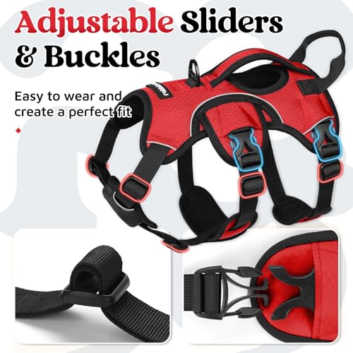 rabbitgoo Escape Proof Dog Harness, Soft Padded Full Body Pet Harness, Reflective Adjustable No Pull Vest with Lift Handle and Leash Clip for Large Dogs Walking Hiking Training, S, Red - color: Red, size: Small (Pack of 1)