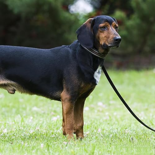 Balacoo Adjustable Double Handle Dog Leash, Traffic Control Pet Lead Rope with Comfortable Non-Chafing Soft Grip, Sturdy Grey and Blue Walking Leash for Puppy Training and Dog Walking