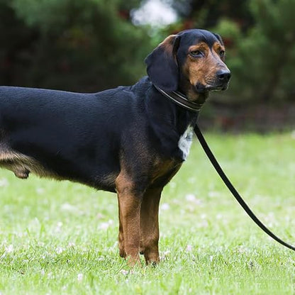 Balacoo Adjustable Double Handle Dog Leash, Traffic Control Pet Lead Rope with Comfortable Non-Chafing Soft Grip, Sturdy Grey and Blue Walking Leash for Puppy Training and Dog Walking