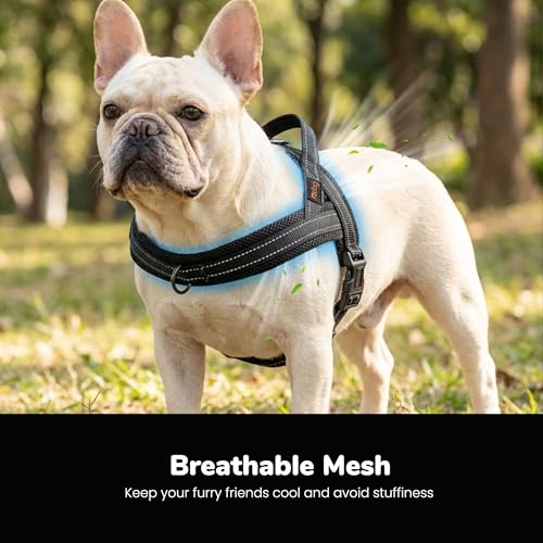 Didog No Pull Dog Harness with Soft Mesh Padded,Reflective & Quick Fit Light Weight Dog Strap Vest Harness,Easy for Walking Training (S:Chest 18-22", Mesh-Black) - color: Black, size: S: Chest 18-22", Fit 19-29 lbs