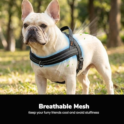 Didog No Pull Dog Harness with Soft Mesh Padded,Reflective & Quick Fit Light Weight Dog Strap Vest Harness,Easy for Walking Training (S:Chest 18-22", Mesh-Black) - color: Black, size: S: Chest 18-22", Fit 19-29 lbs