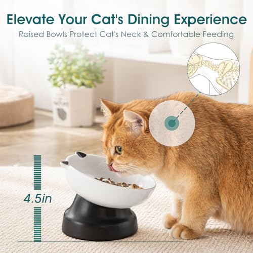 vancasso Slow Feeder Cat Bowls, Ceramic Elevated Slow Feeder Cat Bowls, Raised Food Bowl for Wet Food (Black) - color: Black